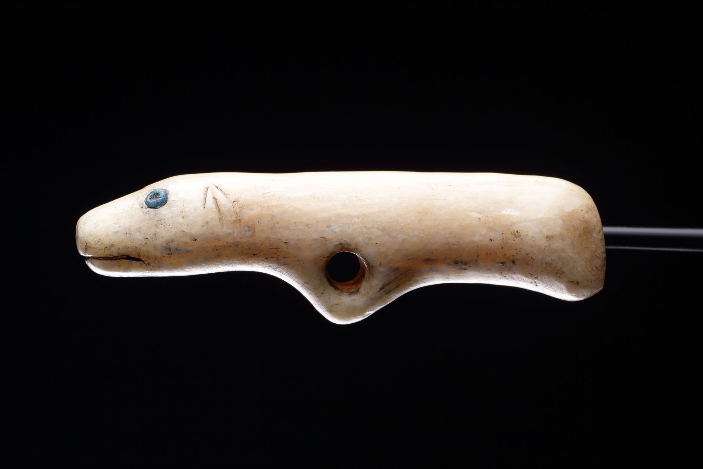 An Arctic Bering Strait Walrus Ivory Handle in the Form of a Seal with Blue Glass ‘Trade’ Bead Inset Eyes
